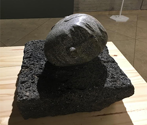 Exhibición El Aprendiz 2019