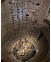 Installation, Exhibición El Aprendiz 2019